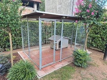 Box per cani