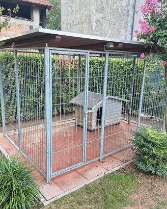Box per cani