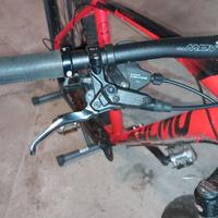 Mtb olmo turchino 29