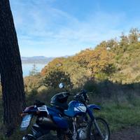 YAMAHA TT 600 R