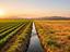 Immagine 7