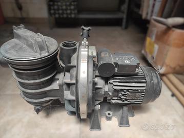 Pompa Sta-Rite 5P2RF-1