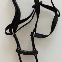 Due pettorine per cani di piccola taglia