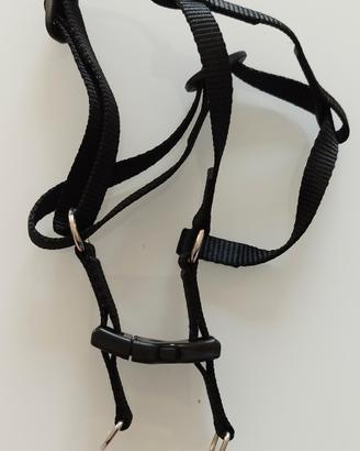 Due pettorine per cani di piccola taglia