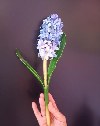 Fiore di giacinto vintage anni 90