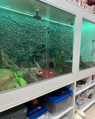 terrario professionale xxl 200x100x200cm completo