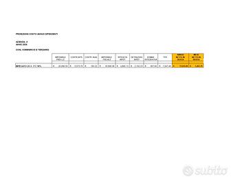 Calcolo costo dipendente - Excel per aziende