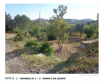RGE 12/2016 Trib ENNA - LOTTO 1