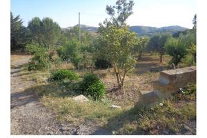 RGE 12/2016 Trib ENNA - LOTTO 1