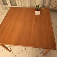 tavolo 100x100 allungabile 