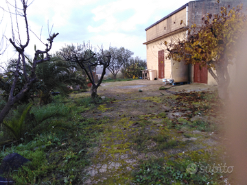 Casa in campagna con vigne olive