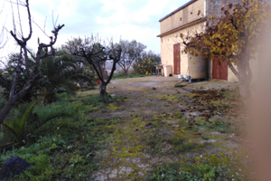 Casa in campagna con vigne olive