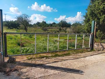 Terreno agricolo 