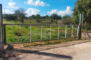 Terreno agricolo 