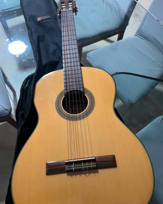 Chitarra musicale