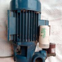 Elettropompa Pedrollo LKm70