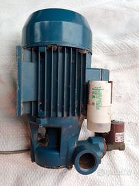 Elettropompa Pedrollo LKm70