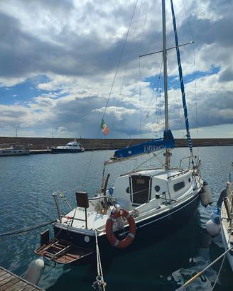 Segelboot Alpa 8