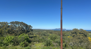 Terreno a Olbia