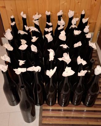 Bottiglie vino