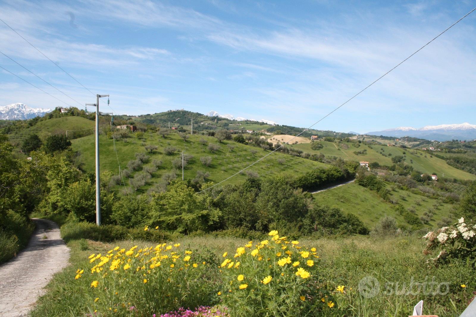 Terreno uliveto edificabile con rustico - Vista 2