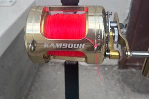 Canna da pesca con mulinello e filo