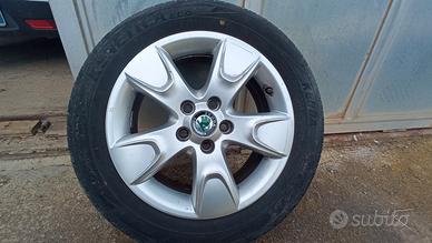 cerchi Skoda