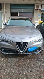 Alfa Romeo Stelvio 2.2 2q
