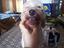 Immagine 2