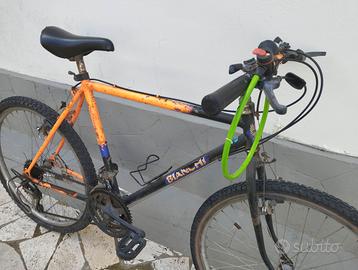 Mountain bike bianchi