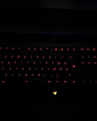 Razer Cynosa Lite Chroma