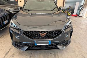 Cupra Formentor 2023 2.0 TDI 4Drive DSG