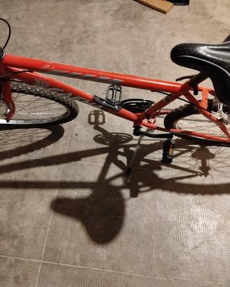 Bicicletta ragazzo Faema