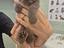 Immagine 1