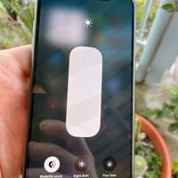 IPhone XS Max 256 gb