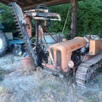 Cingolo con cimatrice COLOMBARDO 1500 EURO