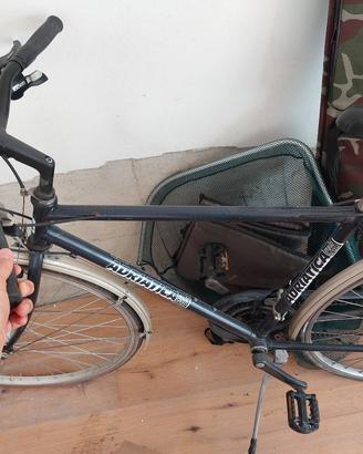 bicicletta uomo Adriatica