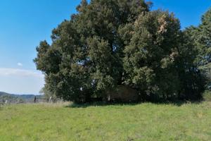 Terreno agricolo 46.000 mq frazionabile