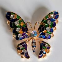 spilla Gioiello Farfalla 🦋