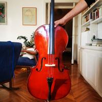 Violoncello