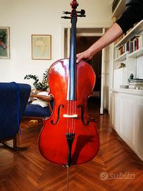 Violoncello