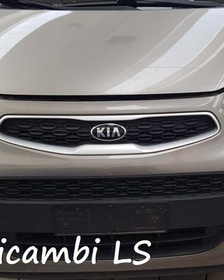 Kia picanto 2013