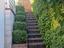 Immagine 12