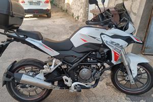 trk 251