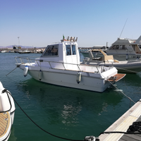 Nautica barca a motore