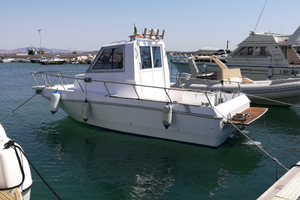 Nautica barca a motore