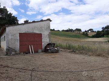 Terreni agricoli a semproniano (gr)
