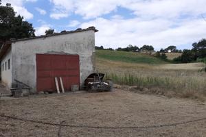 Terreni agricoli a semproniano (gr)