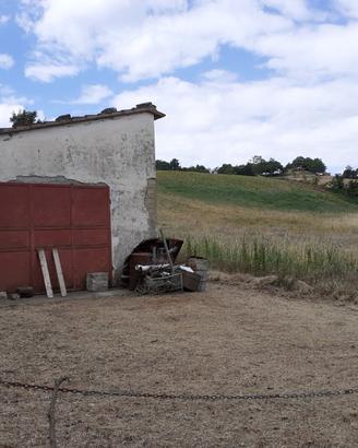 Terreni agricoli a semproniano (gr)