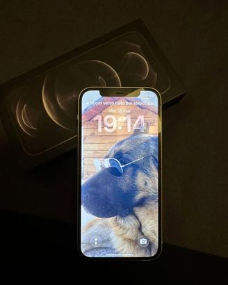 Iphone 12 Pro 128 Gb Bianco